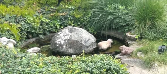 4 Schlafzimmer Stadthaus in Worms, Germany, Nr. 309475 45