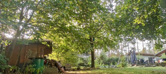 Бунгало с 3 спальнями в Бранденбург, Германия № 52855 7