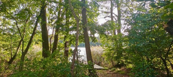 Бунгало с 3 спальнями в Бранденбург, Германия № 52855 18