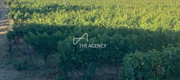 Terreno em Alijó, Portugal N.º 239183 7