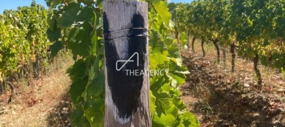 Terreno em Alijó, Portugal N.º 239183 8