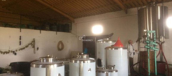 Terreno em Alijó, Portugal N.º 239183 6