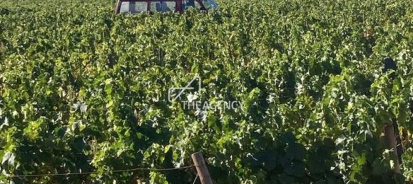 Terreno em Alijó, Portugal N.º 239183 14