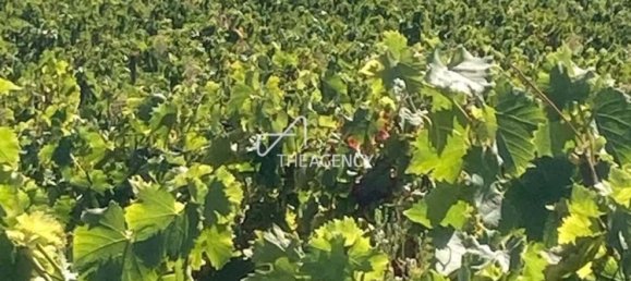 Terreno em Alijó, Portugal N.º 239183 15