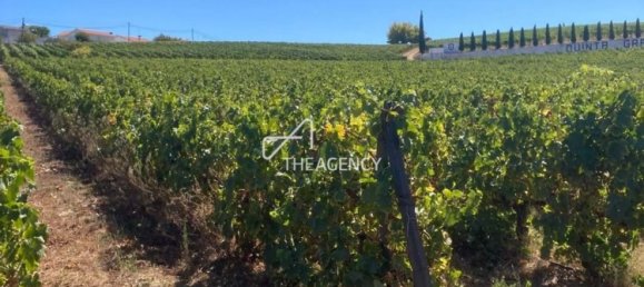 Terreno em Alijó, Portugal N.º 239183 13