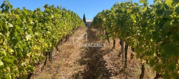 Terreno em Alijó, Portugal N.º 239183 10