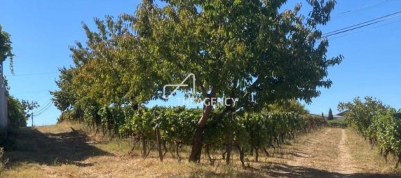 Terreno em Alijó, Portugal N.º 239183 9