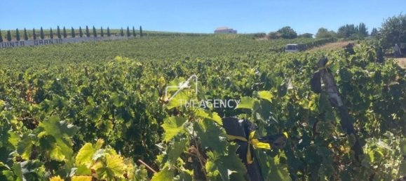 Terreno em Alijó, Portugal N.º 239183 18