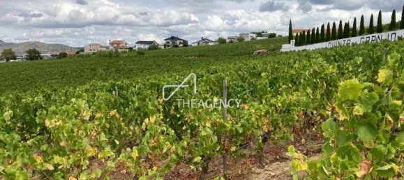 Terreno em Alijó, Portugal N.º 239183 3