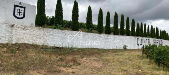 Terreno em Alijó, Portugal N.º 239183 4