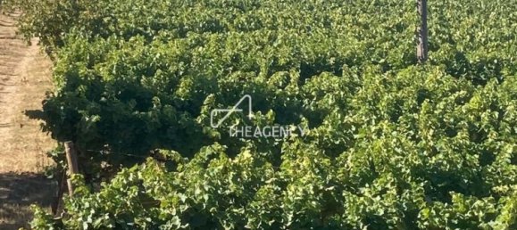 Terreno em Alijó, Portugal N.º 239183 11