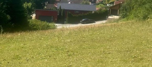  Land in Freyung-Grafenau, Germany No. 131218 4