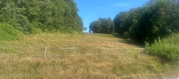  Land in Freyung-Grafenau, Germany No. 131218 6