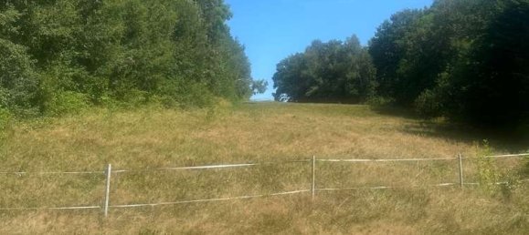  Land in Freyung-Grafenau, Germany No. 131218 9