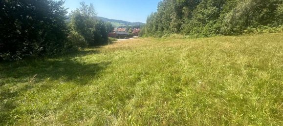  Land in Freyung-Grafenau, Germany No. 131218 8