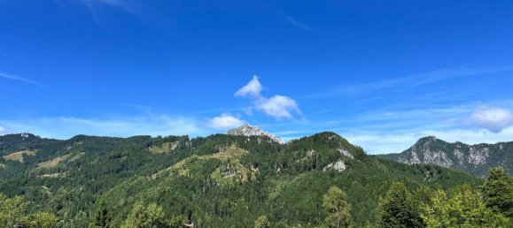 12 rooms House in Eisenkappel-Vellach, Austria No. 223275 15