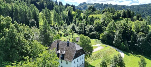 12 rooms House in Eisenkappel-Vellach, Austria No. 223275 8