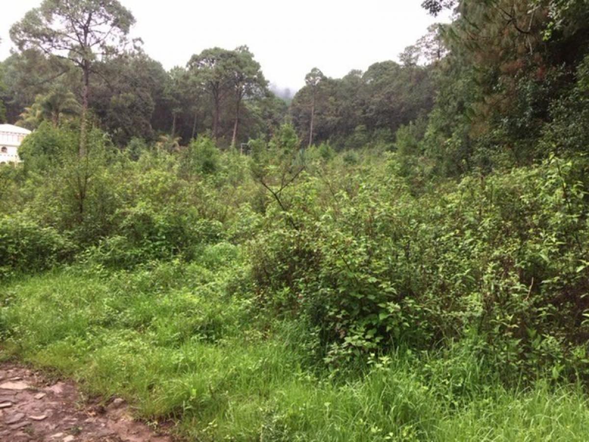 Terrain à Heroica Matamoros, Mexico No. 203647