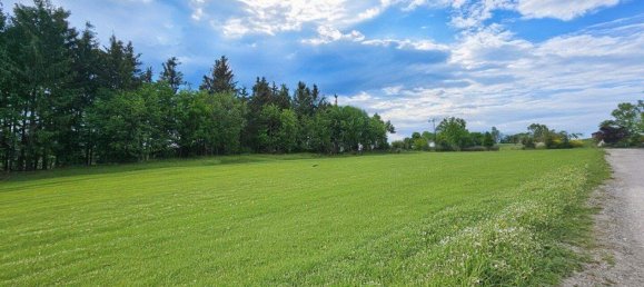 Land in Utzenaich, Austria No. 213762 3