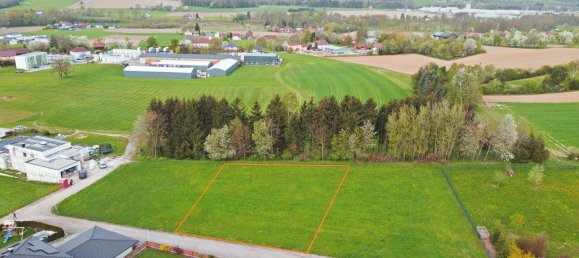  Land in Utzenaich, Austria No. 213762 2