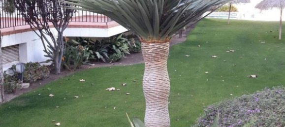 Ático de 4 dormitorios en Benalmádena, Spain No. 166779 22