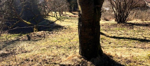 Таунхаус с 4 комнатами в Трофайах, Австрия № 137011 12