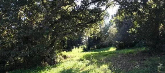 Terreno em Cadiz, Spain N.º 149834 3