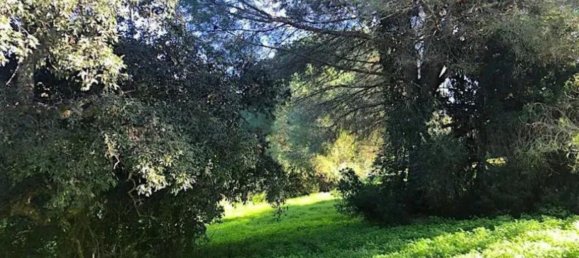 Terreno em Cadiz, Spain N.º 149834 2