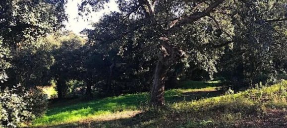 Terreno em Cadiz, Spain N.º 149834 5