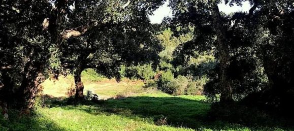 Terreno em Cadiz, Spain N.º 149834 4