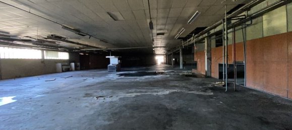 Gewerbliche Immobilie in Coimbra, Portugal 4400m², Nr. 139751 21