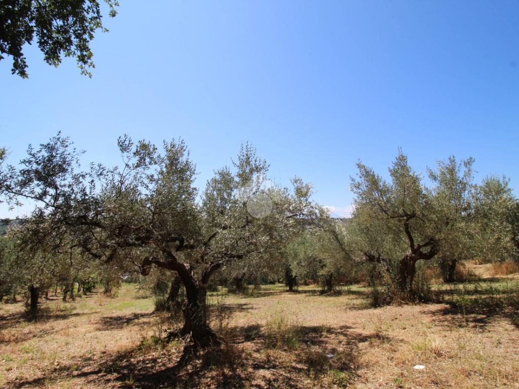 1 Schlafzimmer Grundstück in Montesilvano, Italy, Nr. 297353
