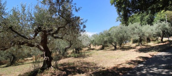 1 Schlafzimmer Grundstück in Montesilvano, Italy, Nr. 297353 6