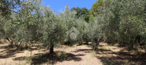1 Schlafzimmer Grundstück in Montesilvano, Italy, Nr. 297353 9
