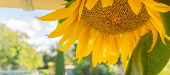 4 غرف نوم تاون هاوس في Aachen, Germany رقم 297664 7