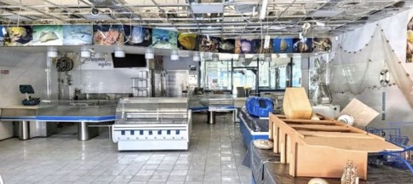 Gewerbliche Immobilie in Carpenedolo, Italy 386m², Nr. 311888 12