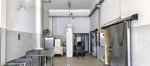 Gewerbliche Immobilie in Carpenedolo, Italy 386m², Nr. 311888 5