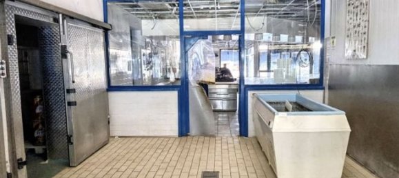 Gewerbliche Immobilie in Carpenedolo, Italy 386m², Nr. 311888 13