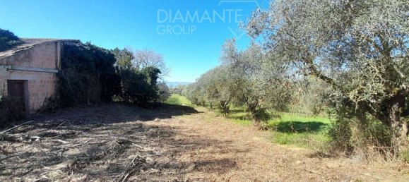 5 rooms House in Passignano sul Trasimeno, Italy No. 77528 8