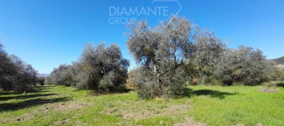 5 rooms House in Passignano sul Trasimeno, Italy No. 77528 27