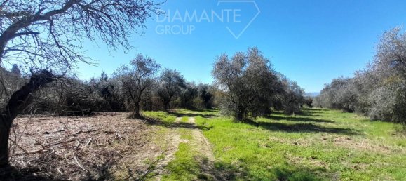 5 rooms House in Passignano sul Trasimeno, Italy No. 77528 28