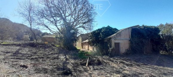 5 rooms House in Passignano sul Trasimeno, Italy No. 77528 10