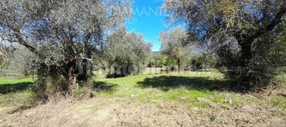 5 rooms House in Passignano sul Trasimeno, Italy No. 77528 9