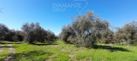 5 rooms House in Passignano sul Trasimeno, Italy No. 77528 26