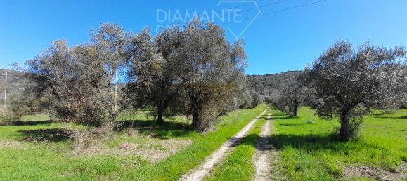 5 rooms House in Passignano sul Trasimeno, Italy No. 77528 30