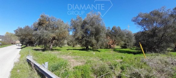 5 rooms House in Passignano sul Trasimeno, Italy No. 77528 29