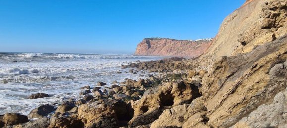 4 غرف نوم فيلا في Sao Martinho do Porto, Portugal رقم 230508 26