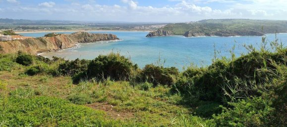 4 غرف نوم فيلا في Sao Martinho do Porto, Portugal رقم 230508 27