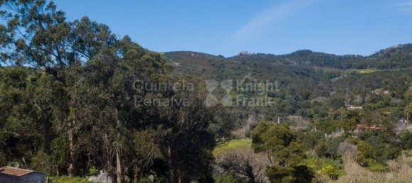 2240m² Land in Cascais, Portugal No. 123823 5