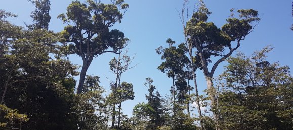 Земельный участок 602600м² в Ellinjaa, Австралия № 890 10